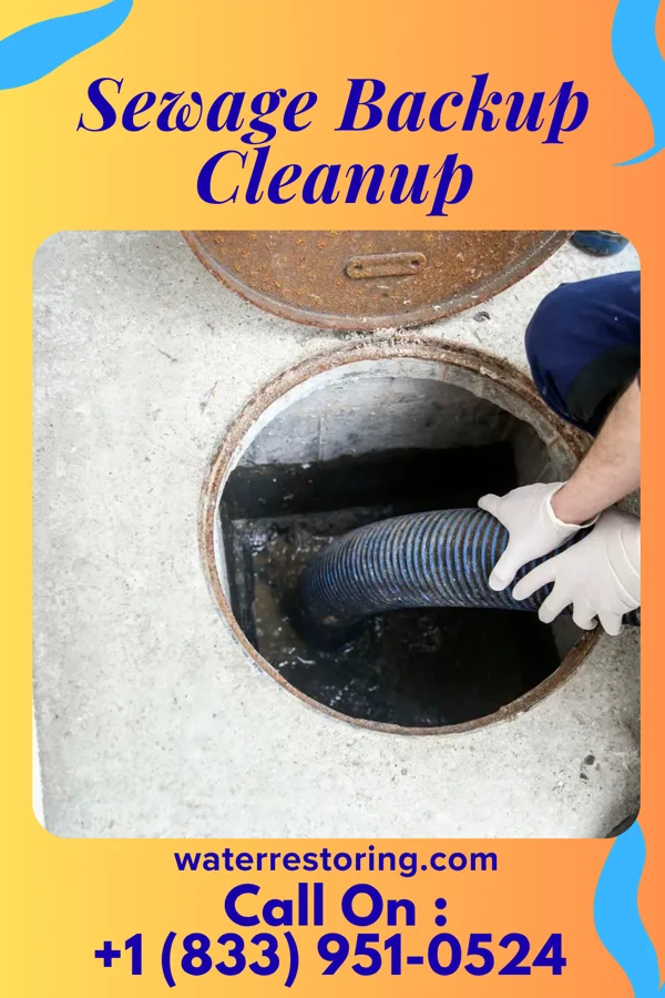 Sewage Backup Cleanup in Keowee Key, SC