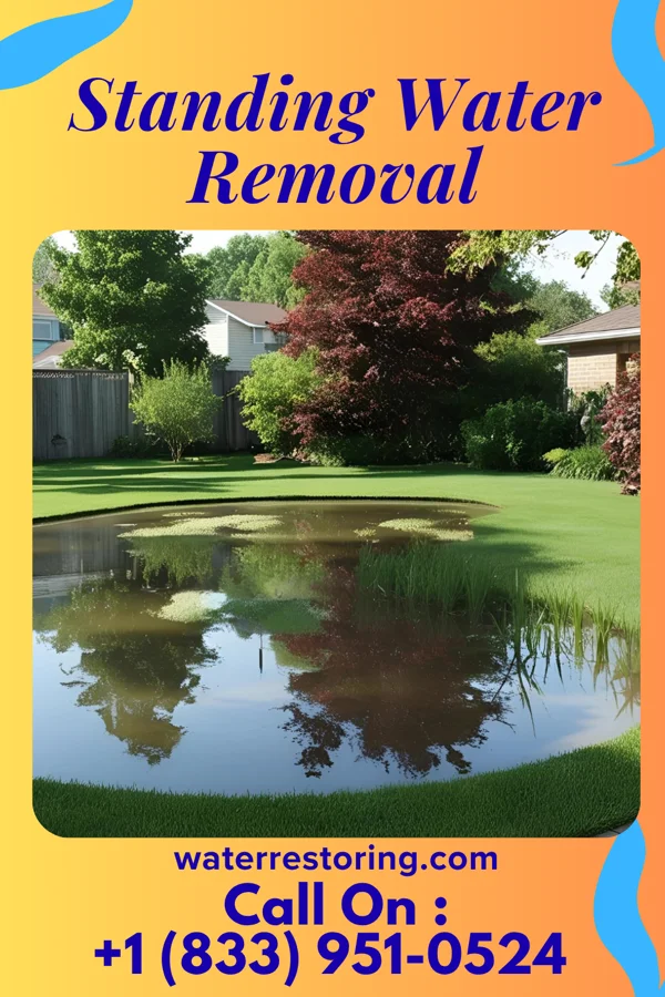 Standing Water Removal in Keowee Key, SC